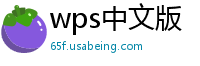 wps中文版